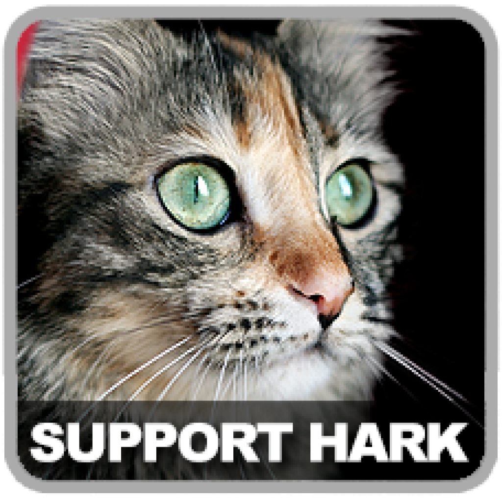 Haines Animal Rescue Kennel A Place for Pets and Their People